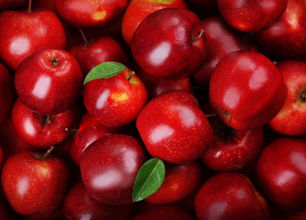 سیب قرمز در عراق به عنوان خمیر دندان سفید کننده استفاده می شود